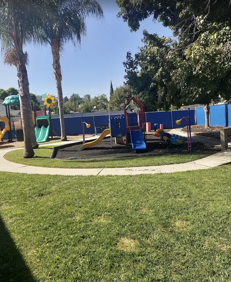 Yard and green space